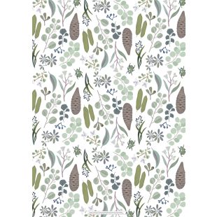 Wrapping Sheets - Australian Light Flora by Cat MacInnes