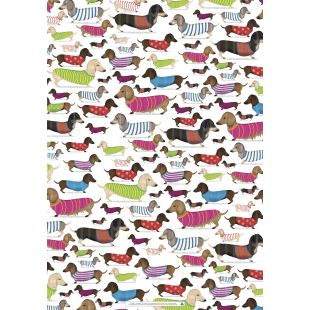 Wrapping Sheets - Dachshund by Cat MacInnes
