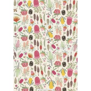 Wrapping Sheets - Pink Banksias by Cat MacInnes