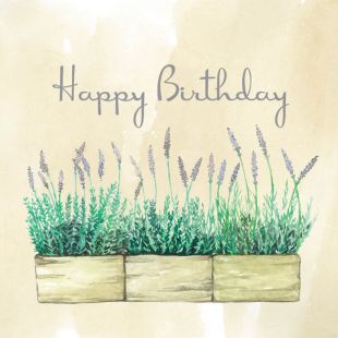 Card - Coco Range - 100mm x 100mm
