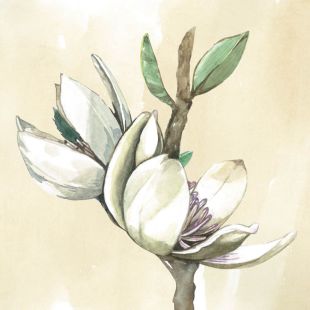 Card - Coco Range - 100mm x 100mm