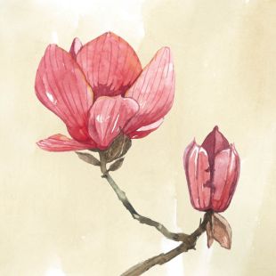 Card - Coco Range - 140mm x 140mm