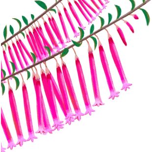 Card - Deb Hudson - 140mm x 140mm