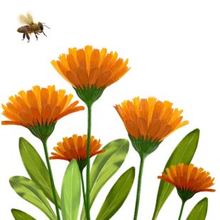 Card - Deb Hudson - 140mm x 140mm