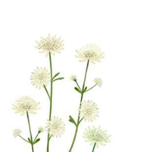 Card - Deb Hudson - 140mm x 140mm