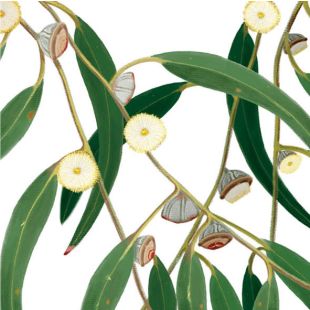 Card - Deb Hudson - 100mm x 100mm