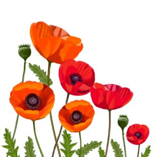 Card - Deb Hudson - 100mm x 100mm