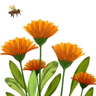 Card - Deb Hudson - 100mm x 100mm