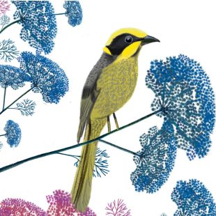 Card - Deb Hudson - 100mm x 100mm