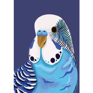 Card - Blue Budgie by Emma Whitelaw