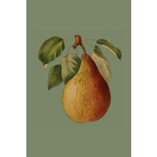 Card - Pear by Studio Nuovo