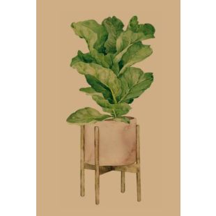 Card - Fiddle Leaf Plant by Studio Nuovo