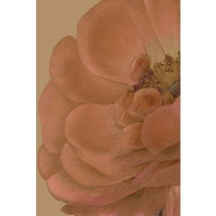 Card - Peach Profusion by Studio Nuovo