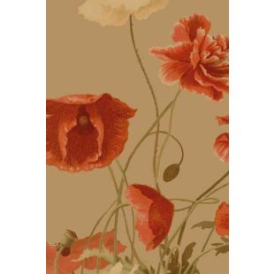 Card - Poppies by Studio Nuovo