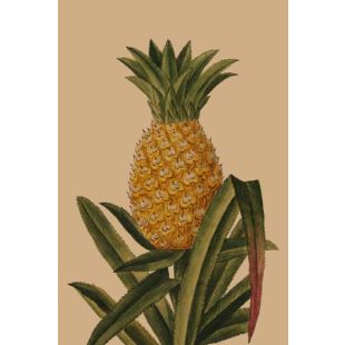 Card - Pineapple Plant by Studio Nuovo