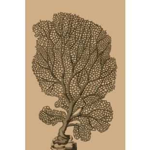 Card - Grey Tree by Studio Nuovo