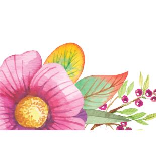 Card - Floral Bird Range - 100mm x 150mm