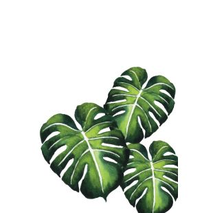 Card - Floral Bird Range - 100mm x 150mm