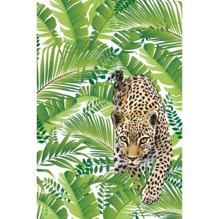 Card - Floral Bird Range - 100mm x 150mm