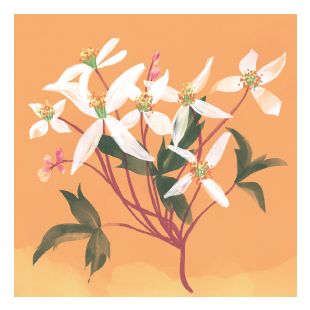 Card - Daniela Glassop - 100mm x 100mm