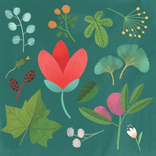 Card - Green Florals by Cat MacInnes