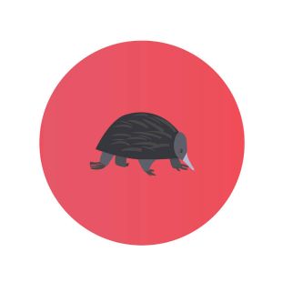 Card - Hanrie - 100mm x 100mm