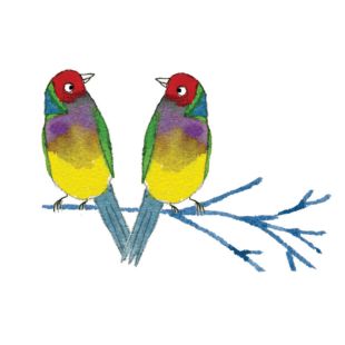 Card - Jess Mess - 100mm x 100mm