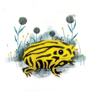 Card - Jess Racklyeft - 100mm x 100mm