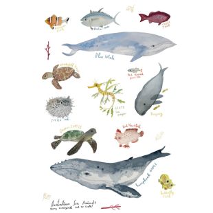 Card - Jess Racklyeft - 125mm x 175mm