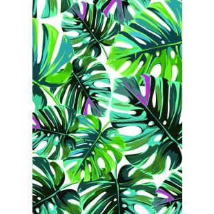 Card - Jumbo - 219mm x 305mm