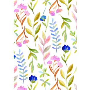 Card - Jumbo - 219mm x 305mm