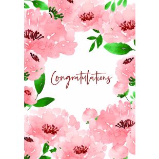 Card - Jumbo - 219mm x 305mm