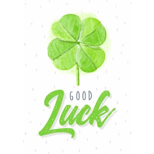 Card - Jumbo - 219mm x 305mm