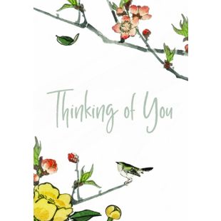 Card - Jumbo - 219mm x 305mm