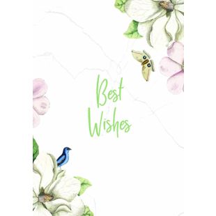 Card - Jumbo - 219mm x 305mm