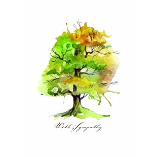 Card - Jumbo - 219mm x 305mm