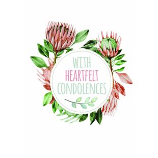 Card - Jumbo - 219mm x 305mm