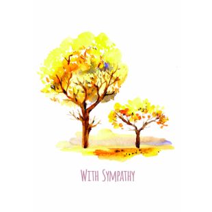 Card - Jumbo - 219mm x 305mm