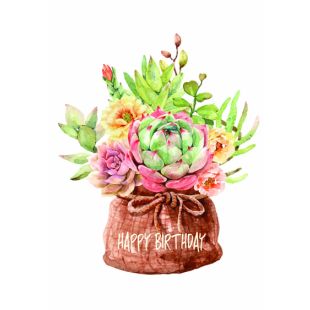 Card - Jumbo - 219mm x 305mm