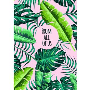 Card - Jumbo - 219mm x 305mm