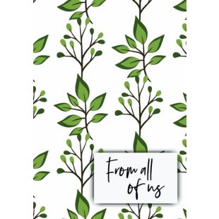 Card - Jumbo - 219mm x 305mm