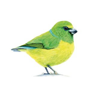 Card - Katherine Appleby - 100mm x 100mm