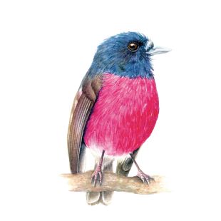 Card - Katherine Appleby - 100mm x 100mm