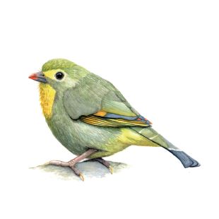 Card - Katherine Appleby - 100mm x 100mm