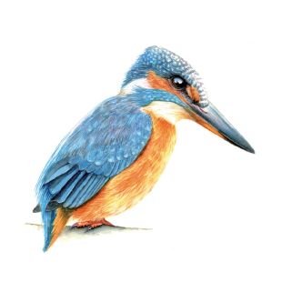 Card - Katherine Appleby - 100mm x 100mm