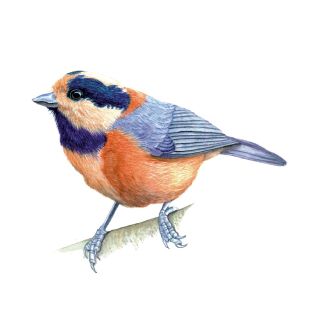 Card - Katherine Appleby - 100mm x 100mm