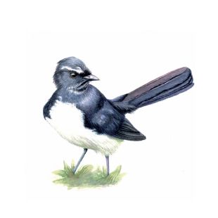 Card - Katherine Appleby - 100mm x 100mm