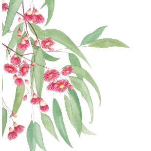 Card - Sussanah Kay - 140mm x 140mm