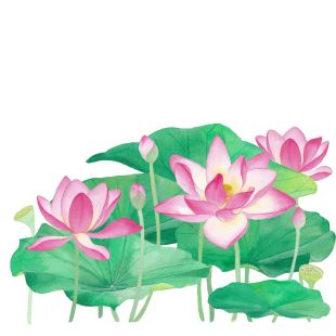 Card - Sussanah Kay - 140mm x 140mm