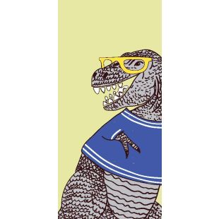 Gift Tags - Kids Tag 2 - 48mm x 100mm (27 Assorted)